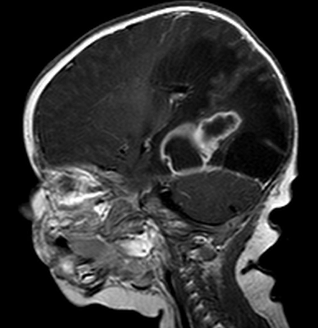 russianradiology в LOOKY — фото 9