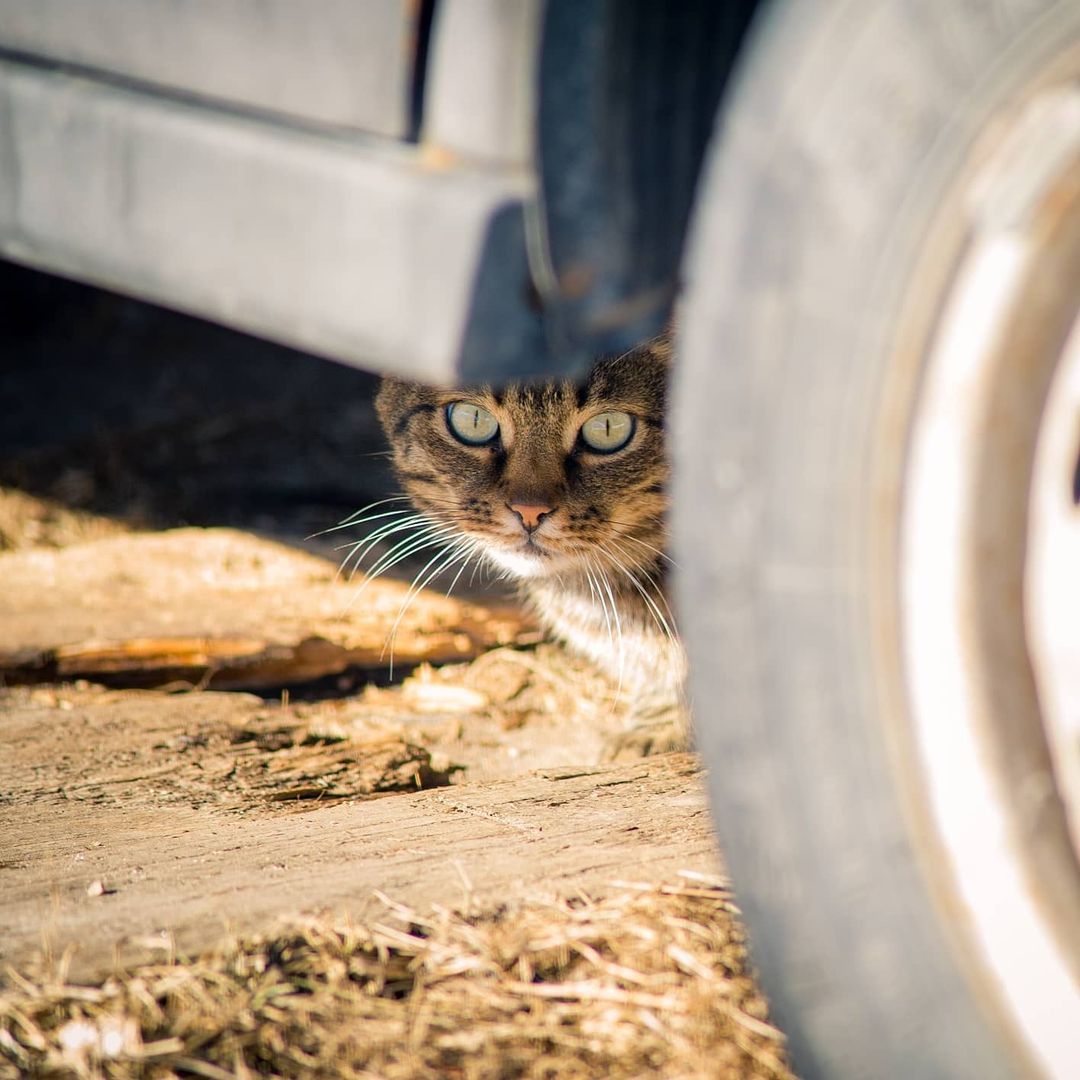 dimalife75 в LOOKY — фото 5