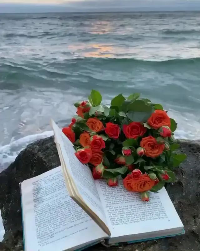nastusha.ale в LOOKY. . 💋💋💋