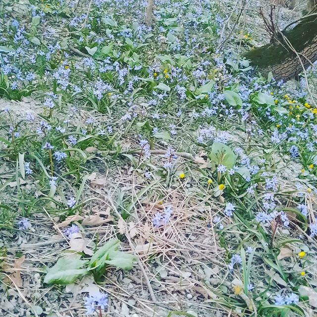 lelik_alena_25 в LOOKY. . Немножко весны в лен...