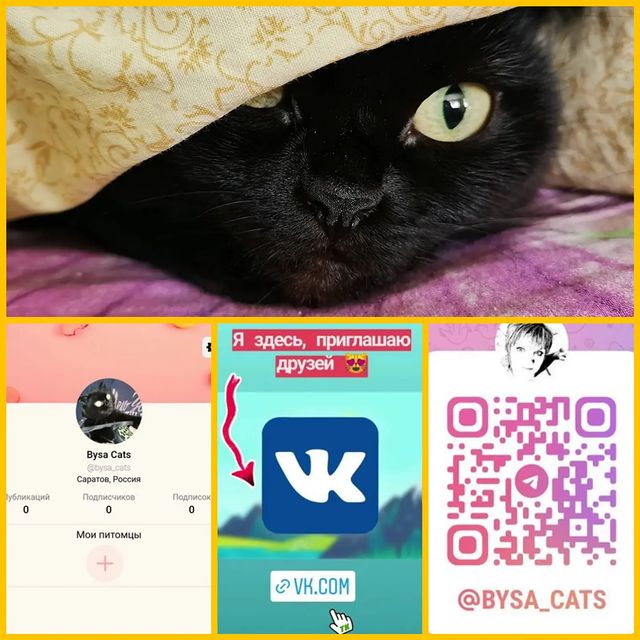 bysa_cats в LOOKY. . Все ссылочки в актуа...