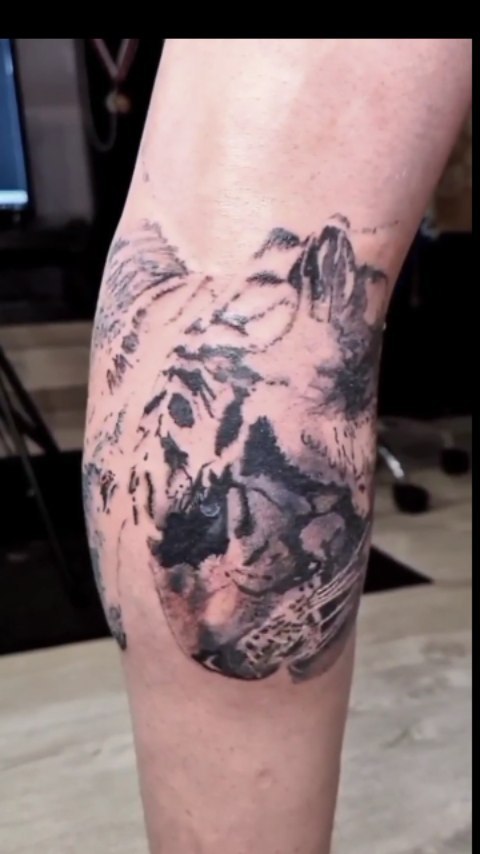 tattoo_paradoxx в LOOKY. #tattoo,#tattooparadox,#paradoxx,#tattoos,#ink,#inked,#netherlands,#art,#tattooart,#instagood,#tattooed,#moscow,#tattooartist,#instatattoo,#vipshadingtattoo,#inklife,#tattooing,#instagram,#vipshading,#inkstagram,#photooftheday,#realistic,#sleevetattoo,#instalike,#tattoosketch,#tattooideas,#freehand,#tattoomoscow. Свежая работка, ещё ...