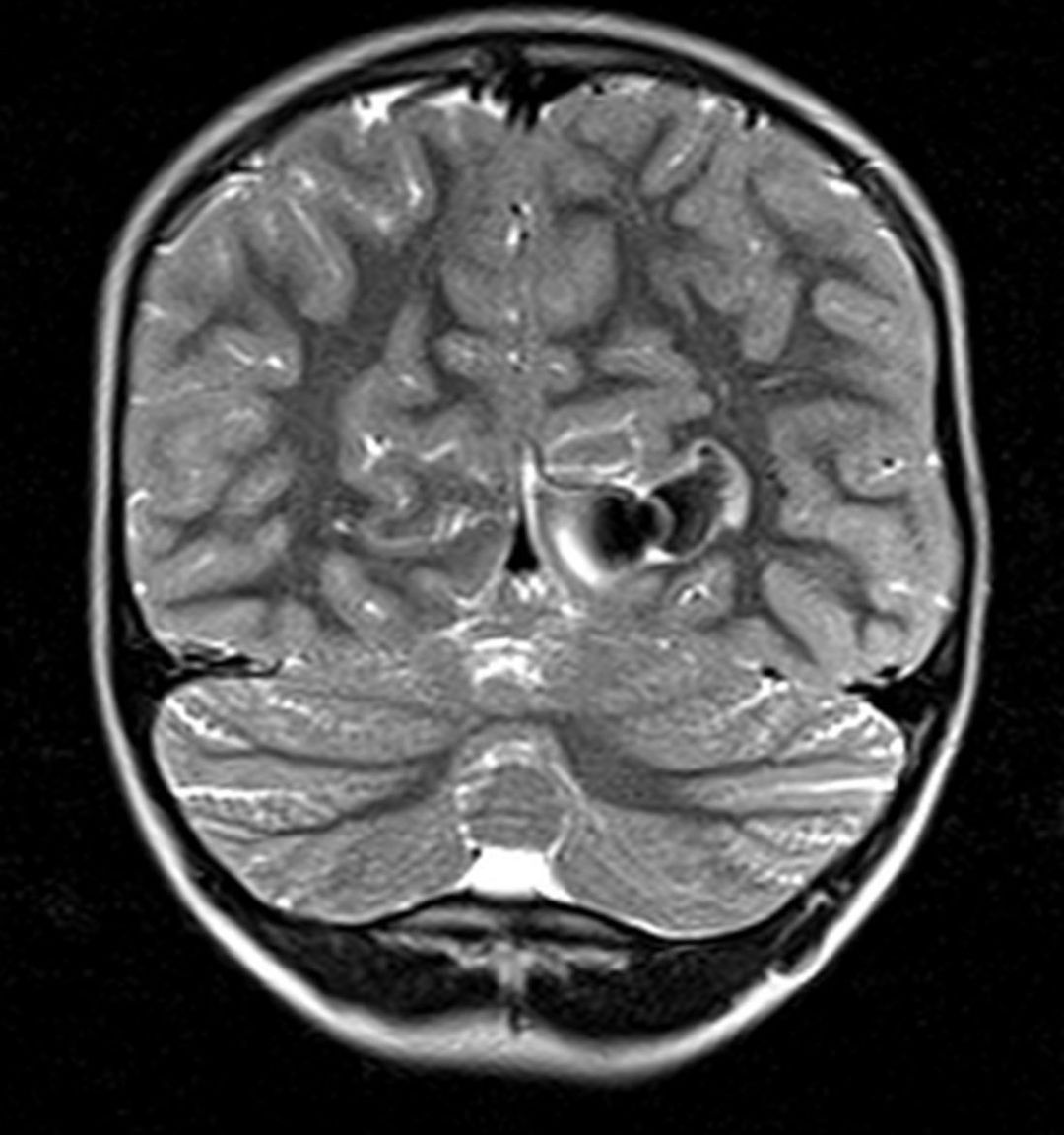 russianradiology в LOOKY — фото 5
