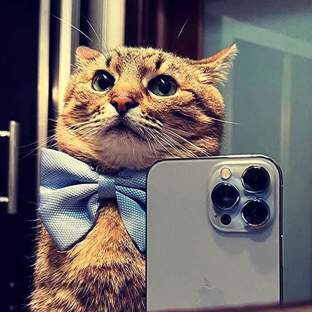 dudlenski в LOOKY. . null