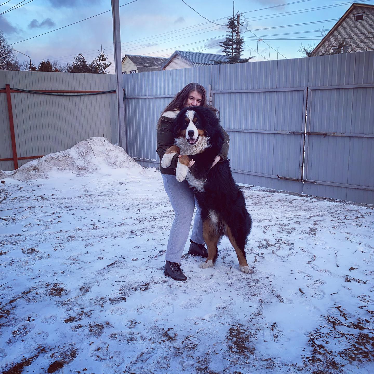 astralistika в LOOKY. . null