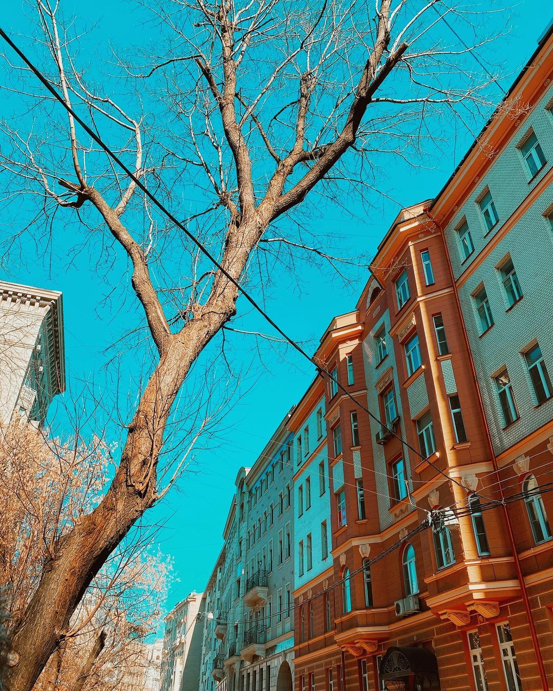 kondrashova_photography в LOOKY — Весна. Как же хочется, чтобы такая погода вернулась поскорее