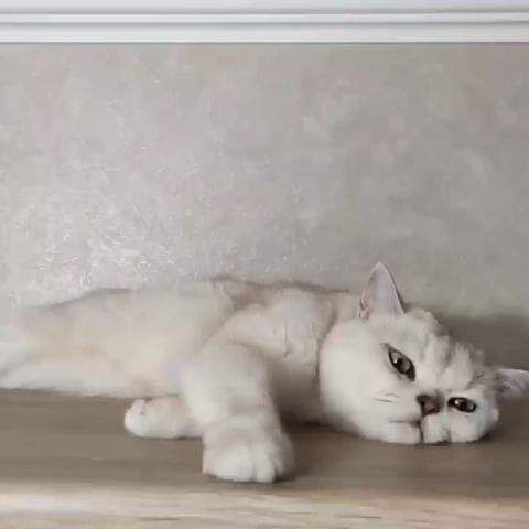 psasgpksp в LOOKY. . Трезвость