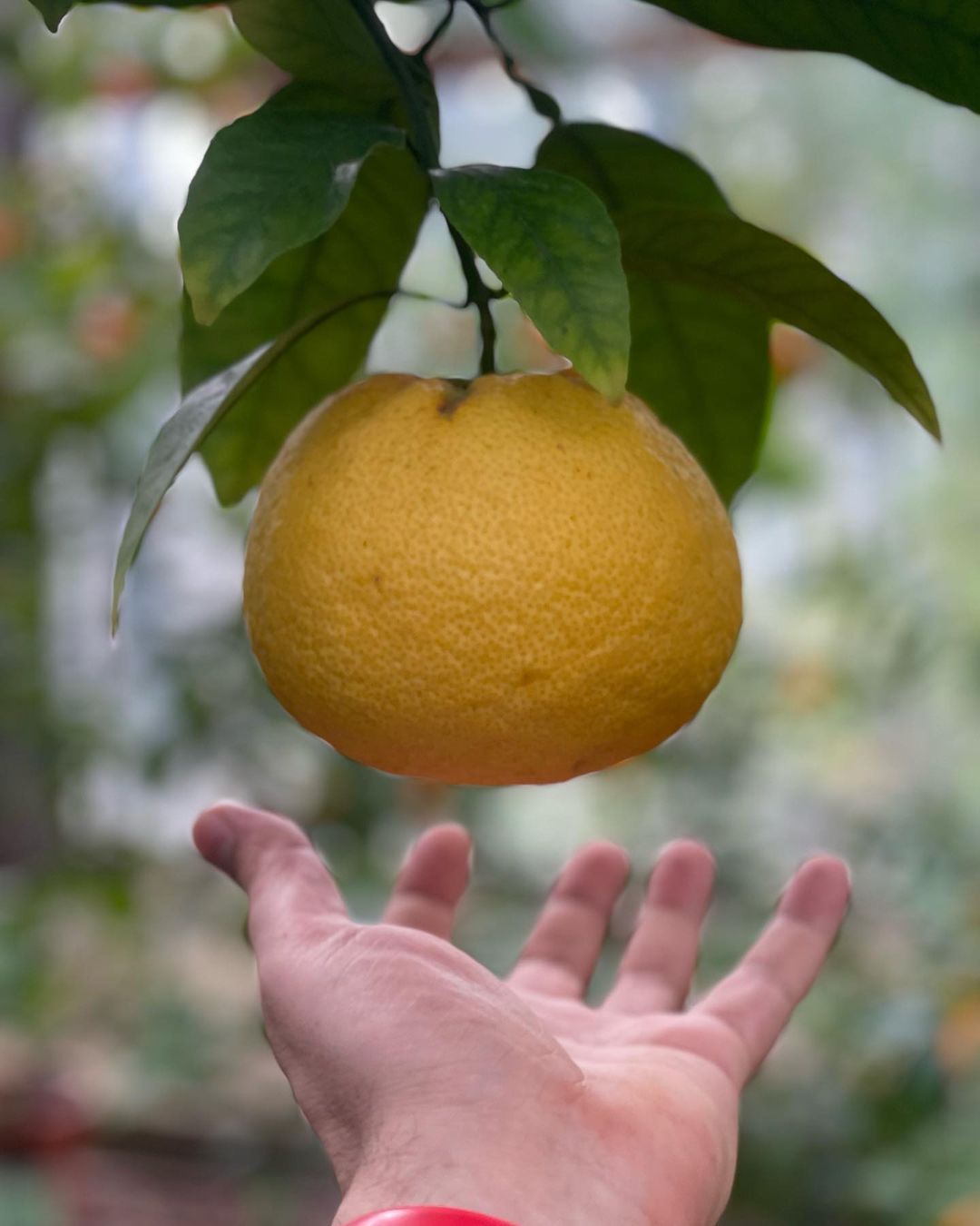 migeleo в LOOKY — фото 5