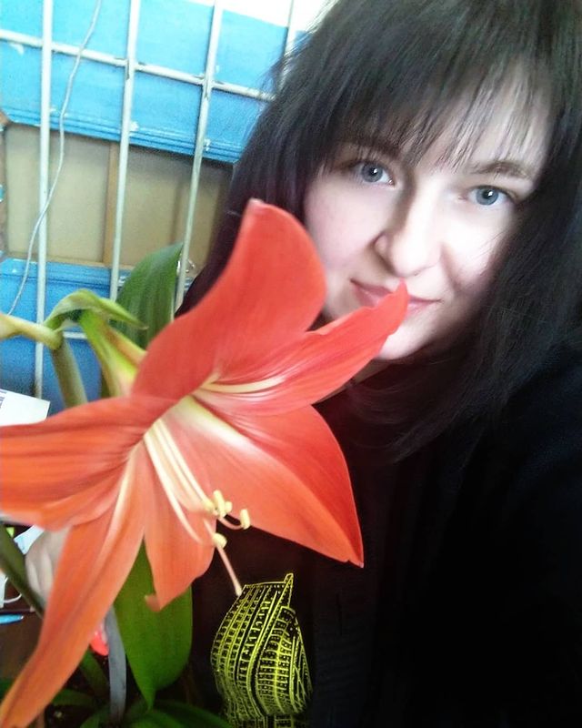 kristina_tyleneva в LOOKY. #амариллис#гиппеаструм#комнатныецветы. Расцвёл мой красавчи...