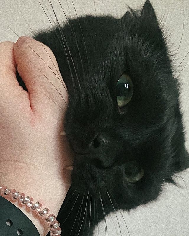 sadeyes_xx в LOOKY. . Зубы 🥹