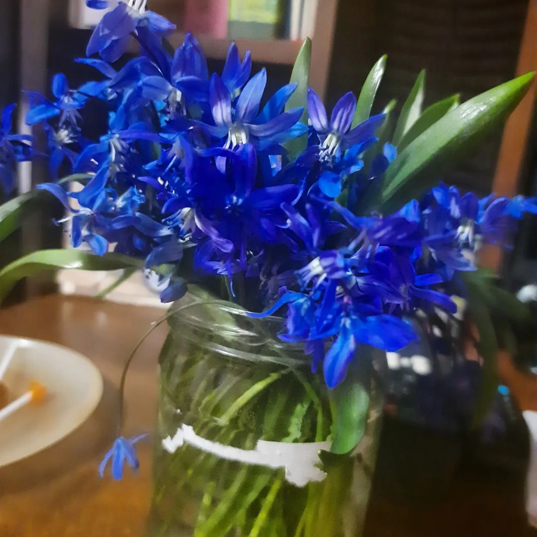 Весеннее цветочки 💐