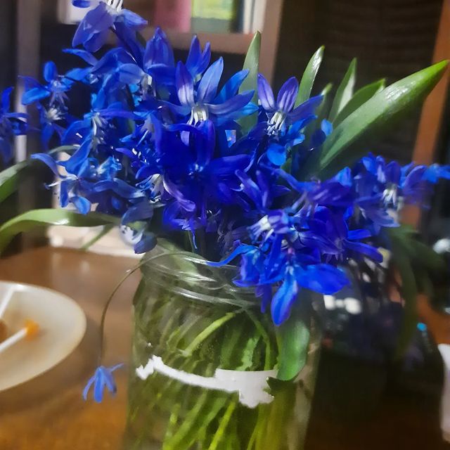 marina_myasischeva в LOOKY. . Весеннее цветочки 💐