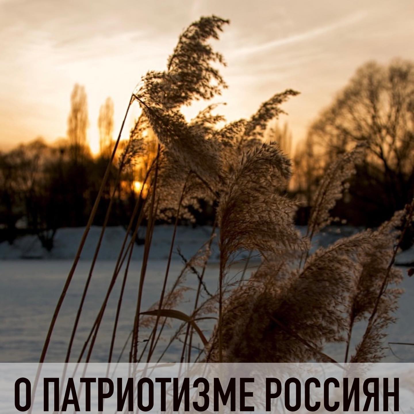 da_filippova_ в LOOKY. . После опроса ВЦИОМ п...