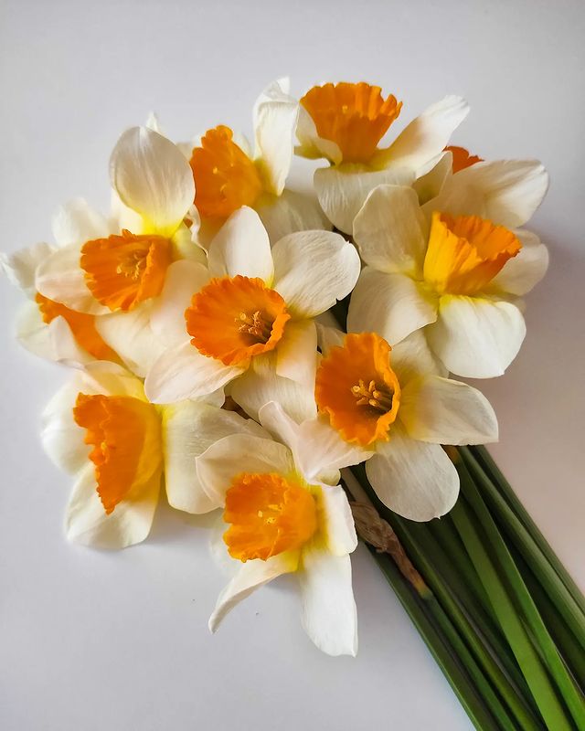 mariya_firsova в LOOKY. . Весна совсем рядом!