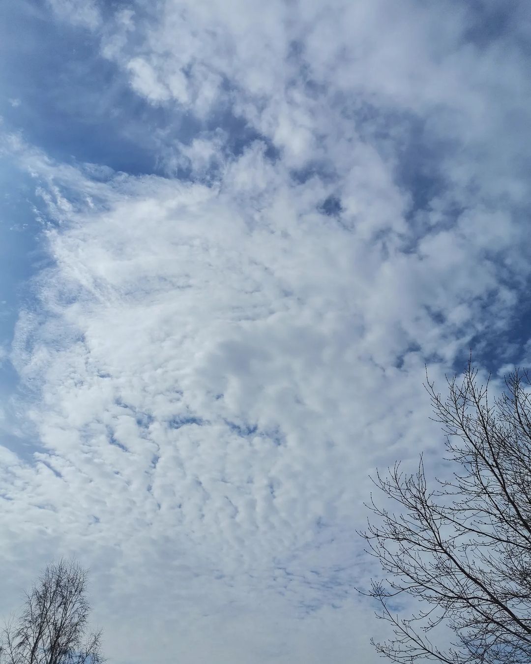 c_schwarz__ в LOOKY — Чудесное утреннее  пятничное небо☁️☺️