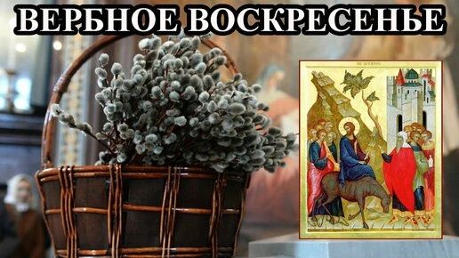 roza.stolitsa в LOOKY. . За неделю до светлог...
