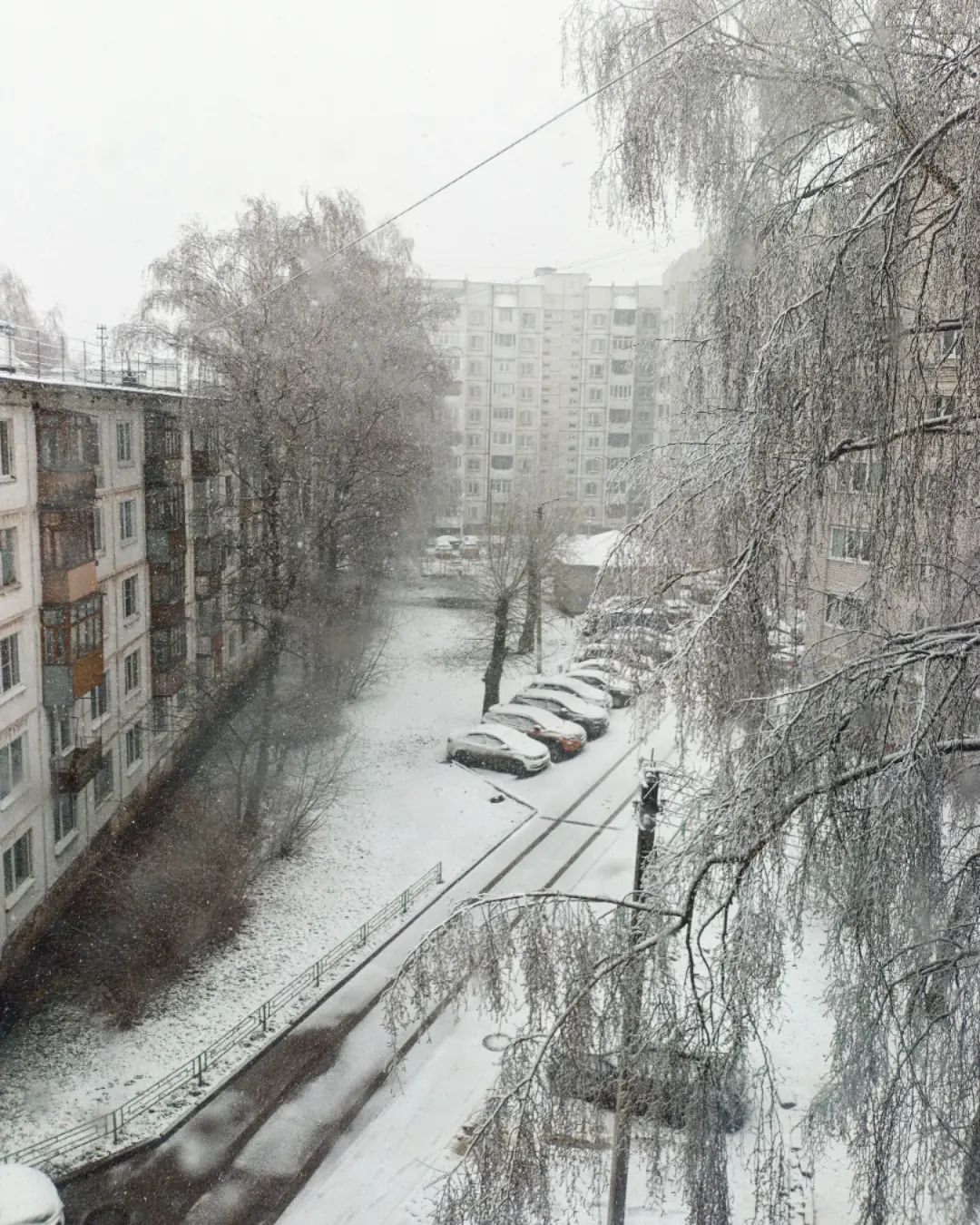 polinkacheshire в LOOKY — Апрель!!!! Ты ли это?