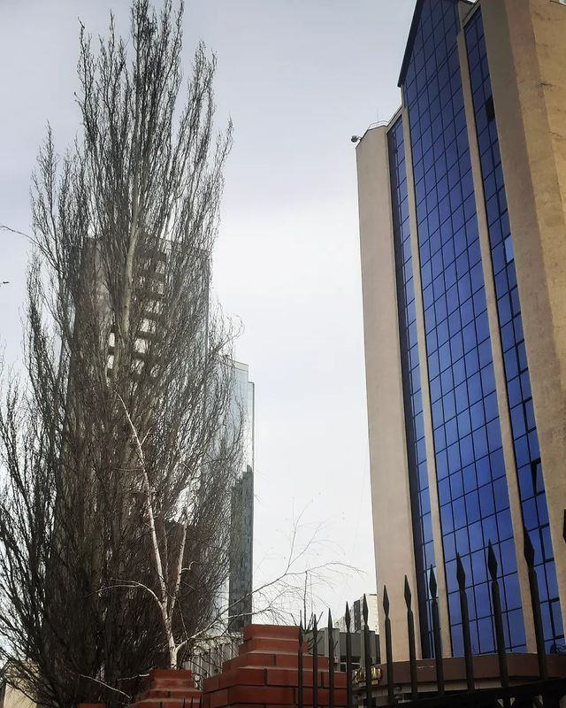telegina_darya в LOOKY. . Весна!