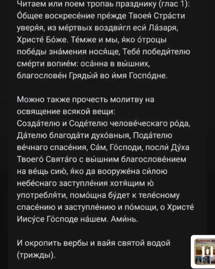 roza.stolitsa в LOOKY. . Вербочку можно благо...