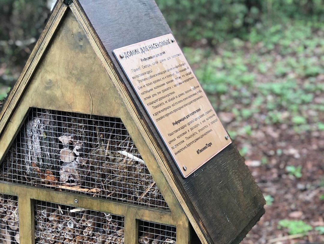 sia_pine в LOOKY — фото 9