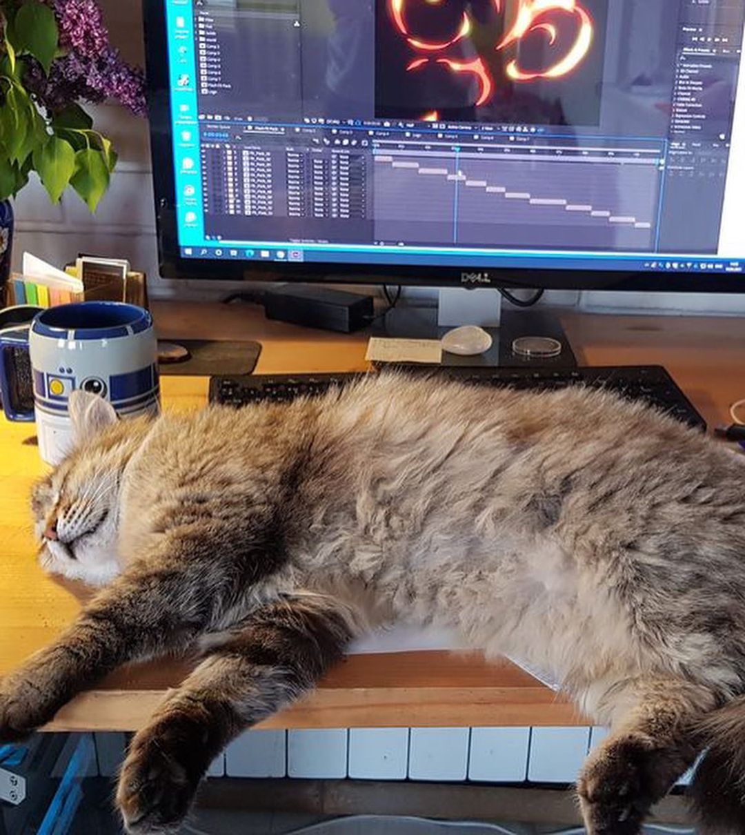 mikki_1810 в LOOKY — фото 3