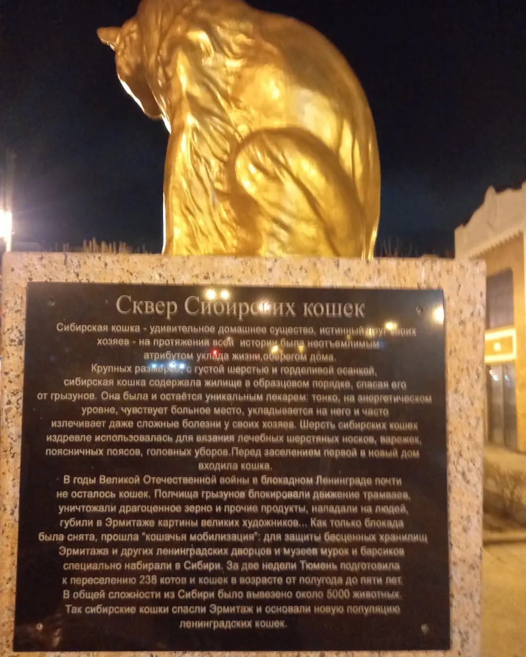 Сквер Сибирских кошек.
Тюмень.19.04.2022.
#скверсибирскихкошек # тюменьдостопримечательности
