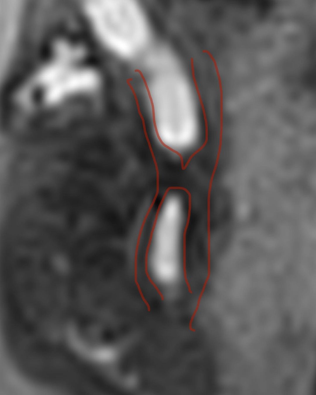 russianradiology в LOOKY — фото 2