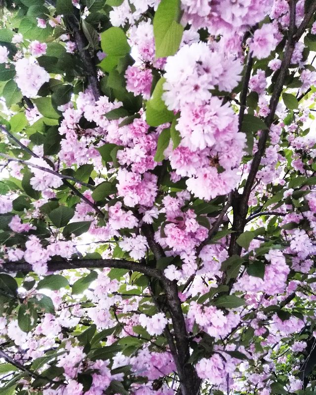 Natalyaalbertovna в LOOKY. . За что?
Иногда я рас...
