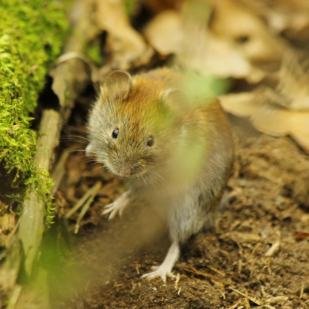 mary_maris_stella в LOOKY — фото 2