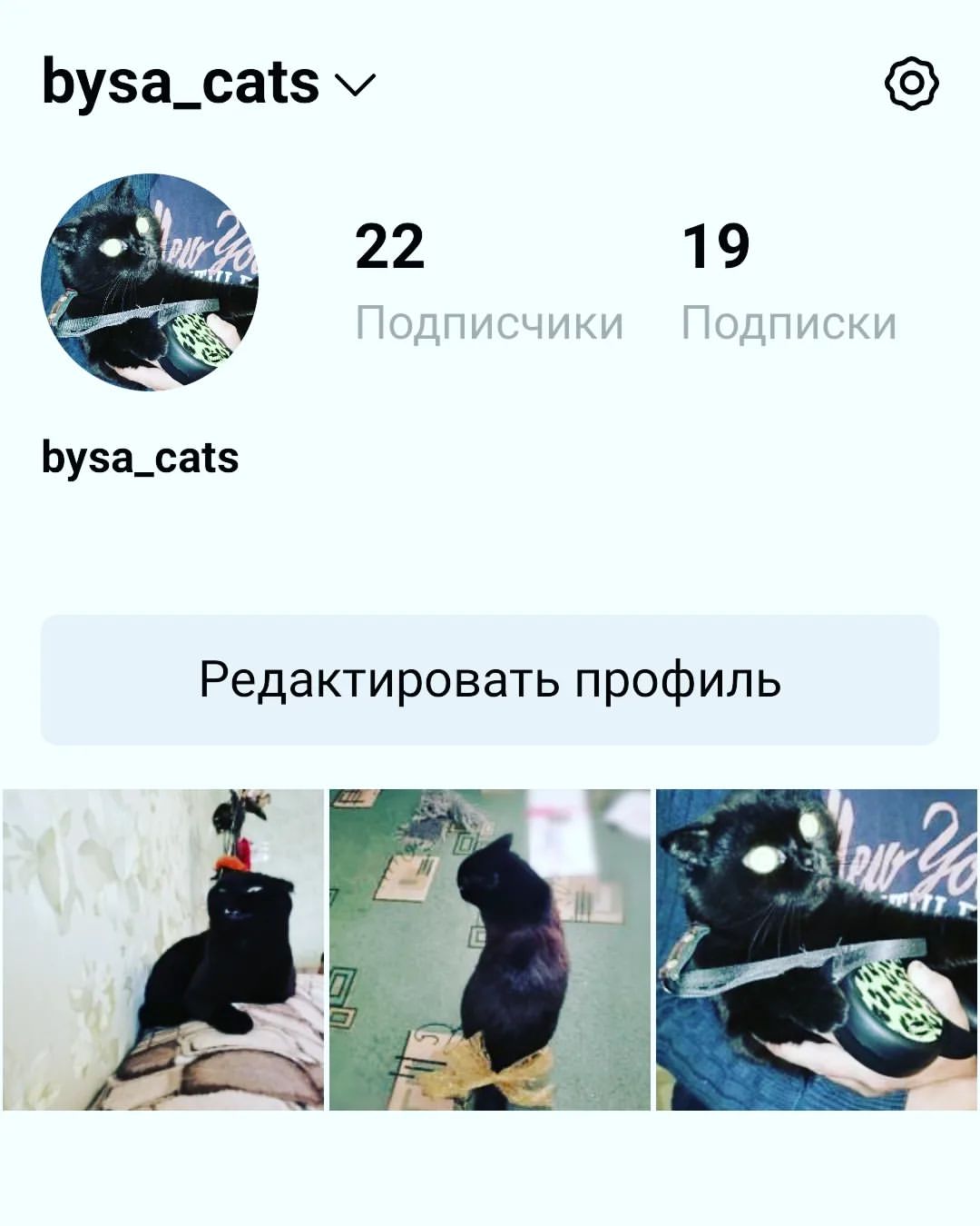 bysa_cats в LOOKY — Я ещё есть в Limbiko  жду друзей там😻