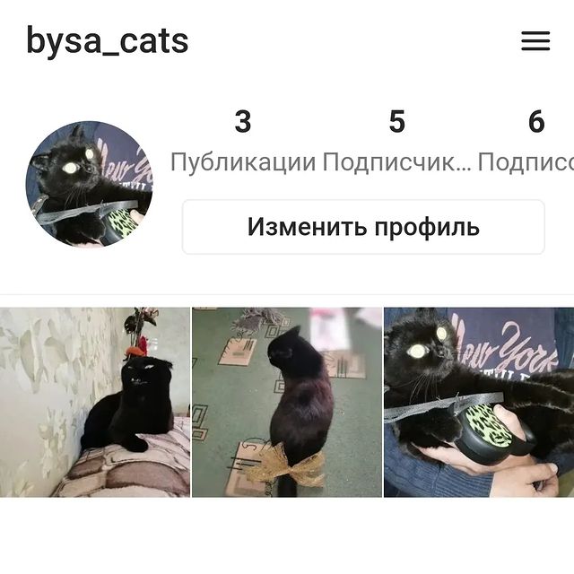 bysa_cats в LOOKY. . Ма ещё и в Now зарег...