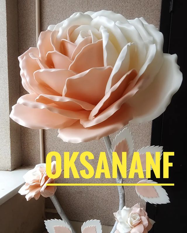 ok_sana5239 в LOOKY. . )))