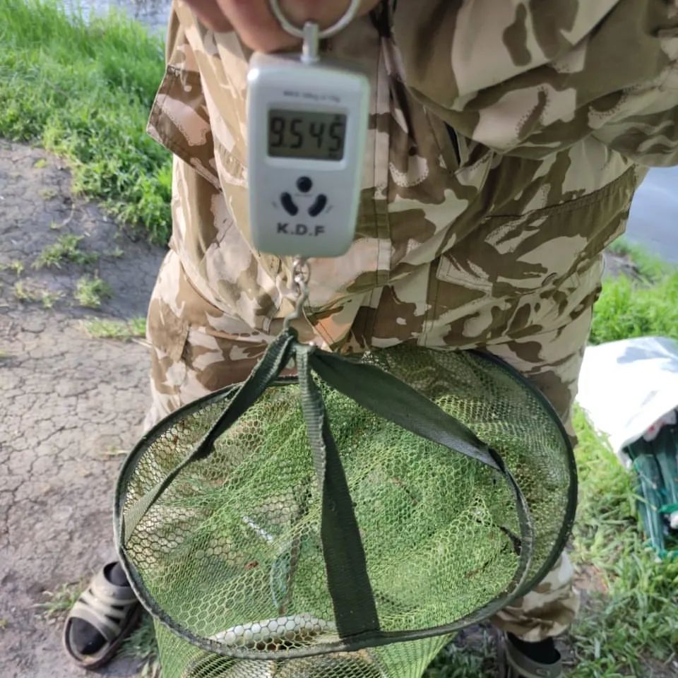 ladydainadarkness в LOOKY — фото 4