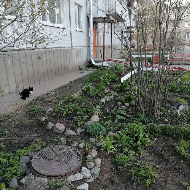 daniellamalinovskaa в LOOKY. . Эстетика придомовой ...