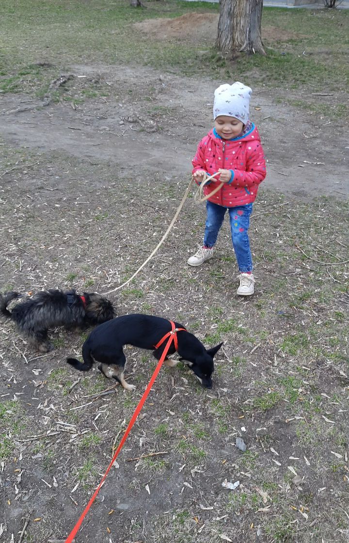 just_irina_sha в LOOKY. . null