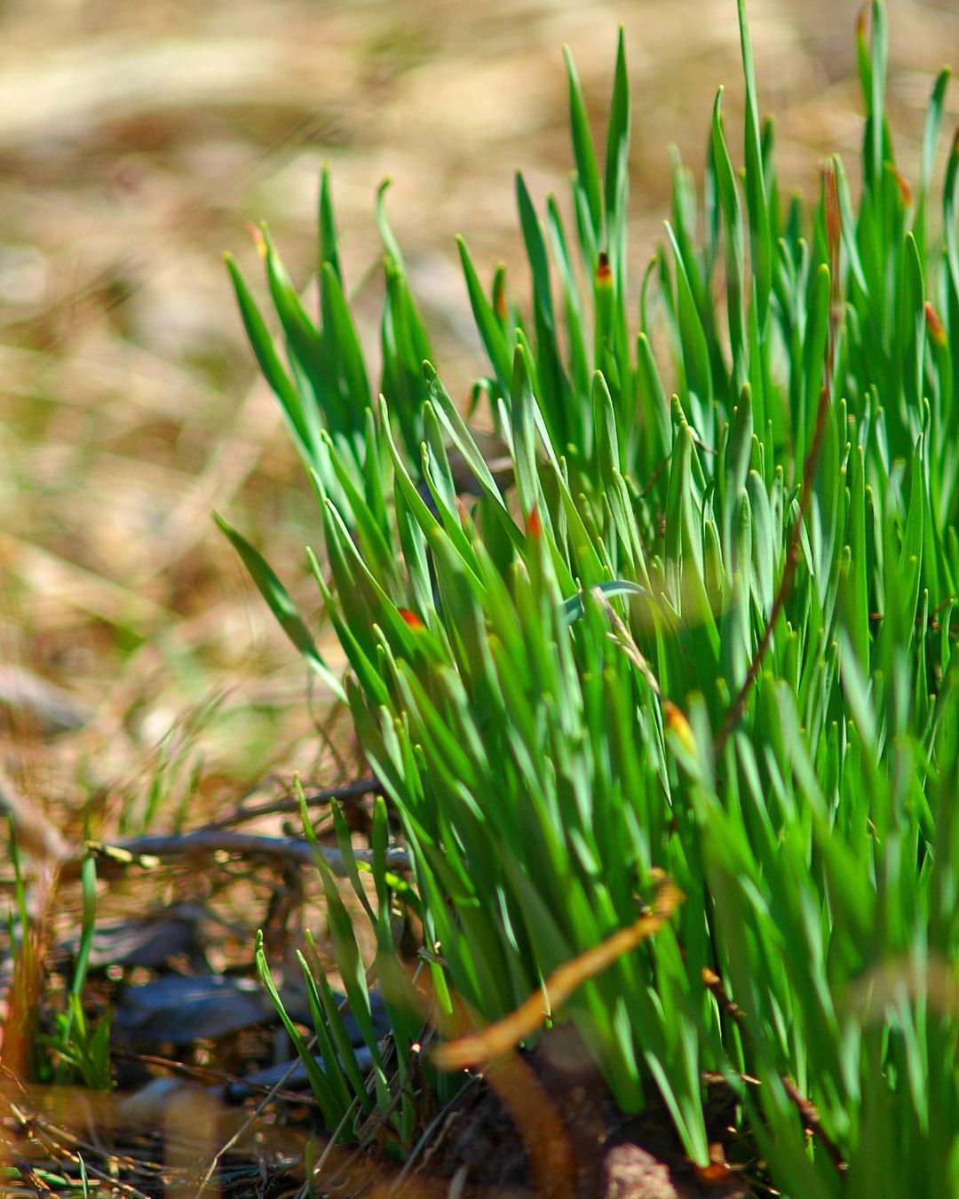 dimalife75 в LOOKY — фото 7