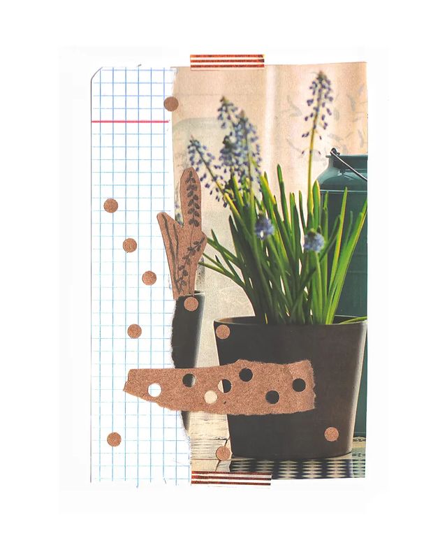 бумажка к бумажке в LOOKY. #collage,#collageart,#art,#artlovers,#flowers,#inspitation,#коллаж,#арт,#искусство,#цветы. ⠀⠀прорываясь сквозь ...