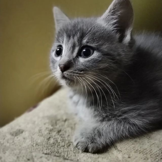 annkonshins в LOOKY. . Сезон шашлыков откры...
