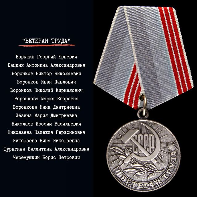 dimafamilyheritage в LOOKY. #медальветерантруда,#истоки_и_притоки,#dimafamilyheritage. +8 имён с публикации...