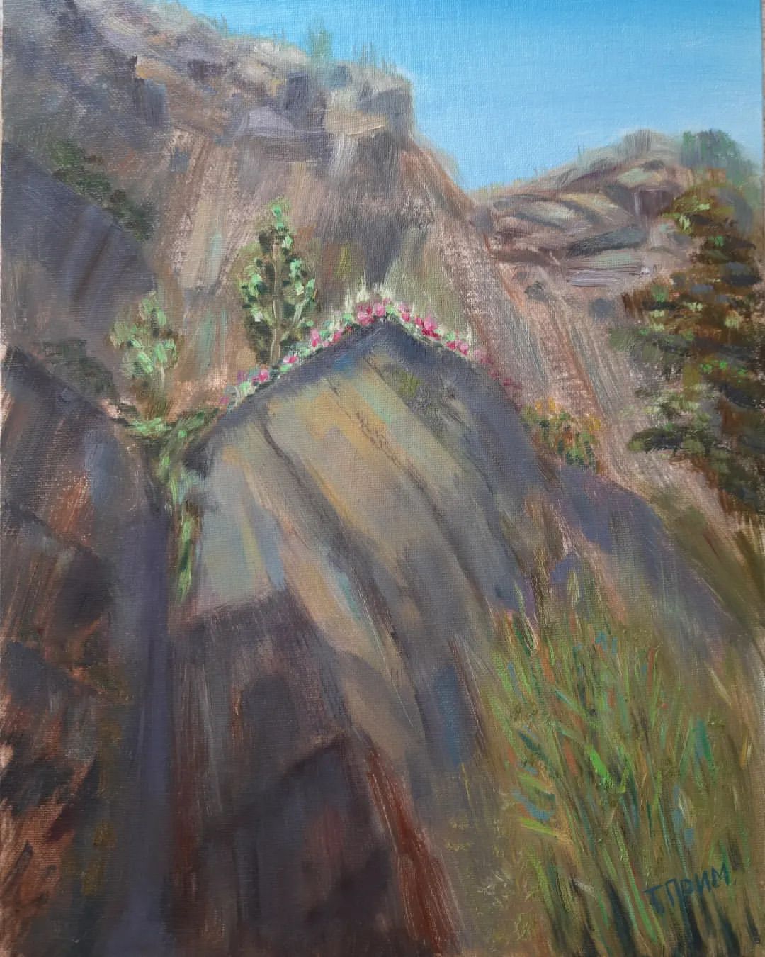 30х40 см, холст на картоне, масло #oil#paint#artwork#живопись#картинамаслом#горы#цветынаскалах#маслянаяживопись#oillandscape