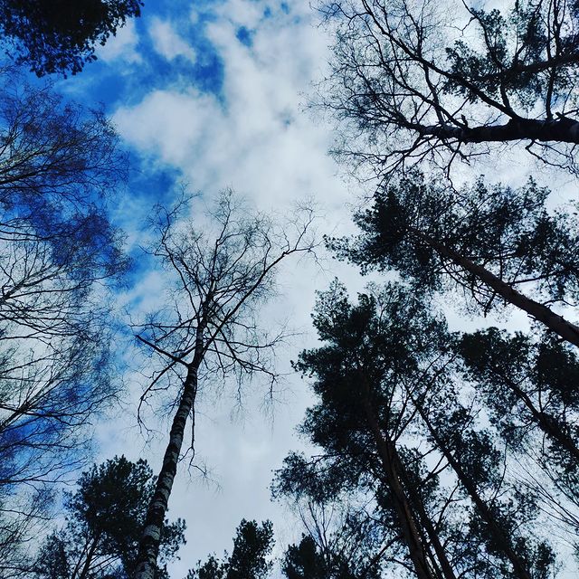 Anastasia Str в LOOKY. #лиозно_фото,#беларусь,#лиозно,#добромысли,#природа,#небо,#nature,#sky,#belarus. В моменте
#лиозно_фо...