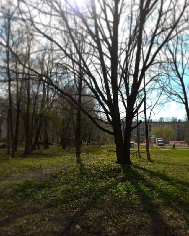1945averyan в LOOKY. . null