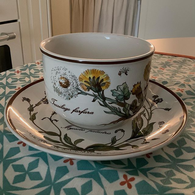 die_blume_909___ в LOOKY. #виллеройбох,#посудадлядома,#серияботаника,#villeroyboch,#botanica,#vitroporcelain,#мнетаккрасиво,#винтажнаяпосуда,#чайнаяпара. Когда твой друг знае...