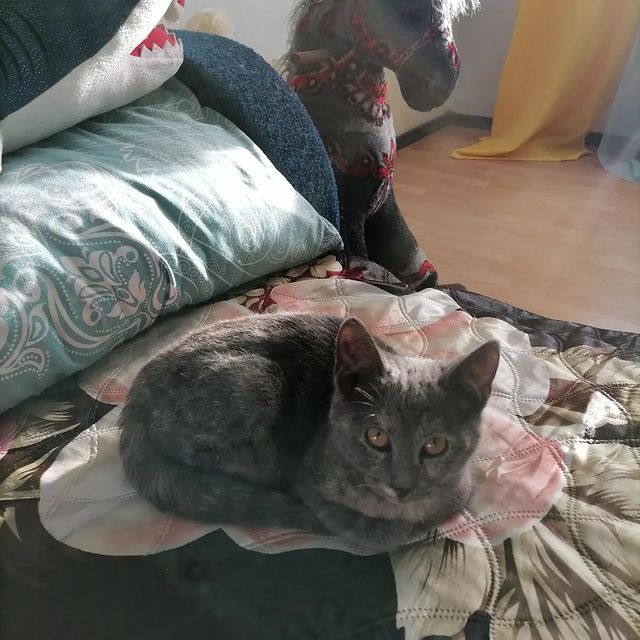 daniellamalinovskaa в LOOKY. . Матильда Ксешинская)...