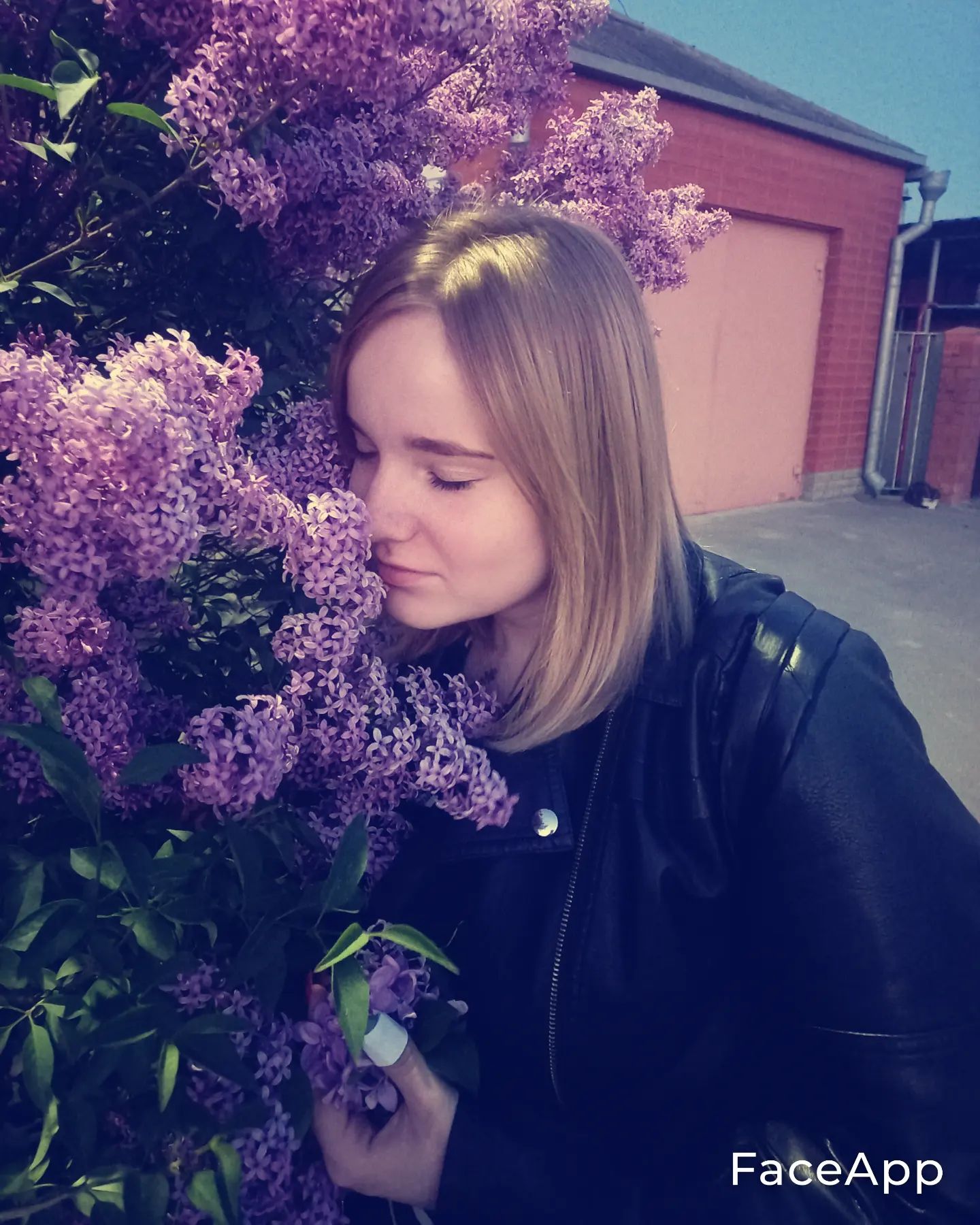 _victoria_hal в LOOKY — 😄
#весна #сирень💜 #сирень #кайф #выходной #вечер