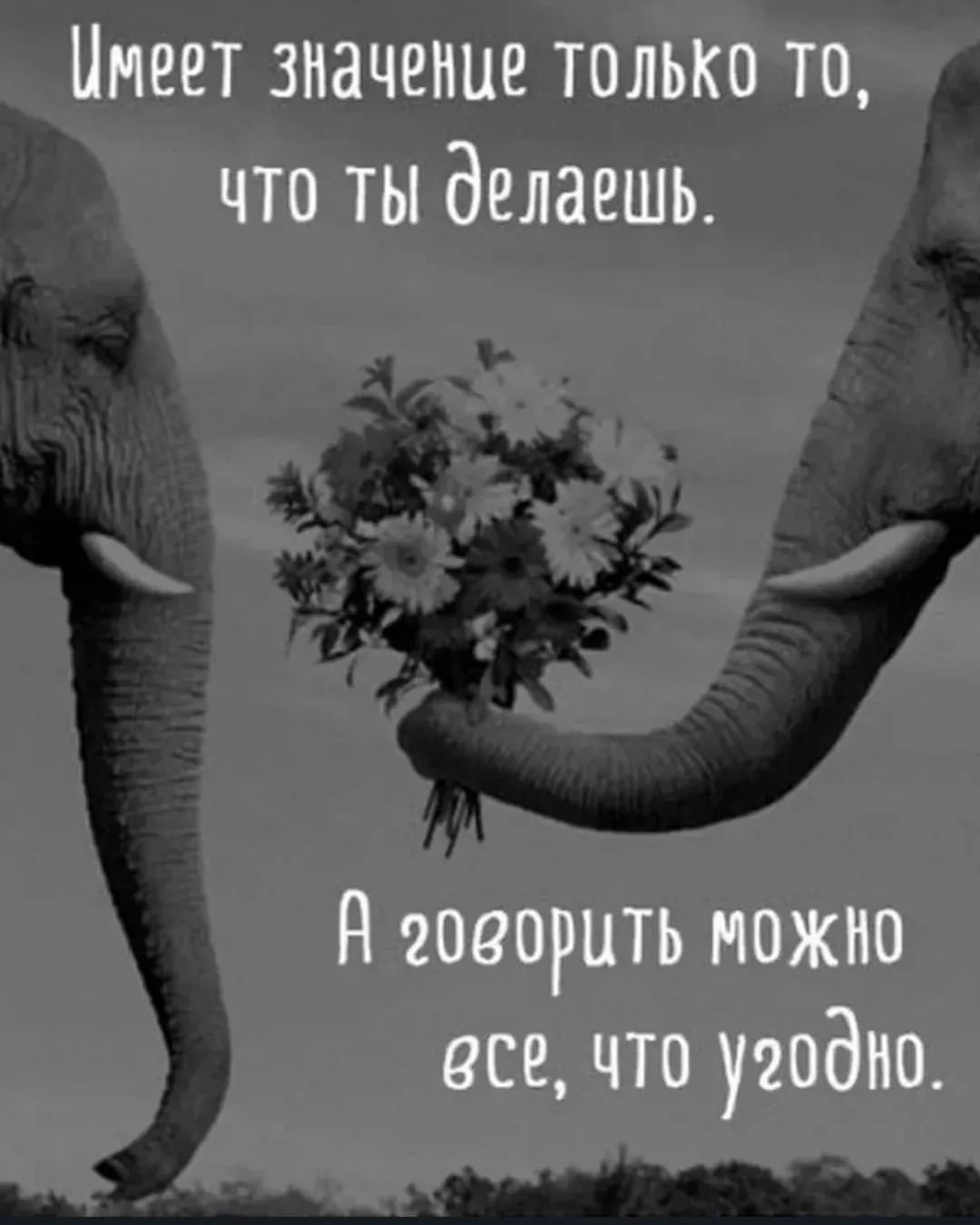 sashaprobeauty в LOOKY. . Вот просто так... На...