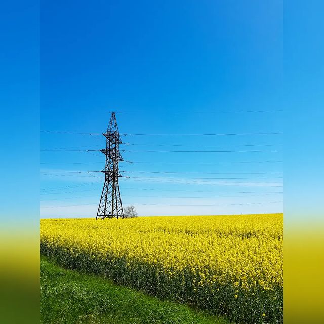 antipka48 в LOOKY. . null