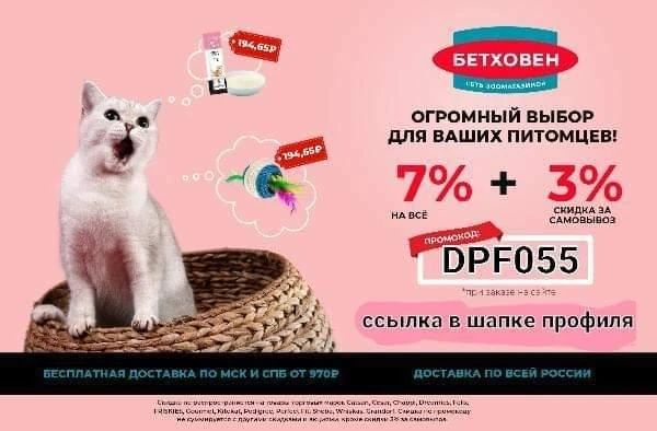 omsk.skidka в LOOKY. . «Бетховен» – это сет...