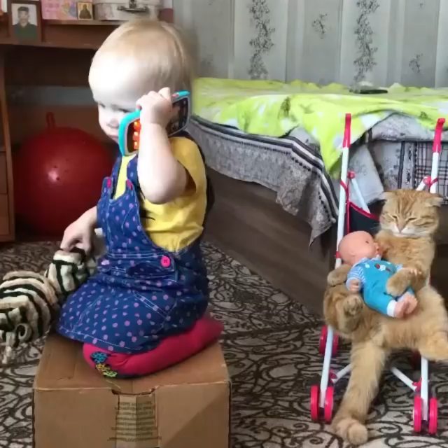 mali_isma__ в LOOKY. #прикол,#дети,#малыши,#кошка,#инстаграм,#рекомендации,#top,#instagram. #прикол #дети #малыш...