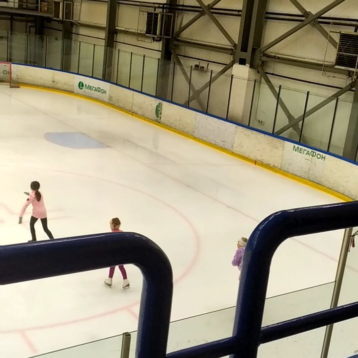 tapki_po_pochte1 в LOOKY. #ласточка,#ледовыйдворец,#лед,#спортсмены. #ласточка #ледовыйдв...